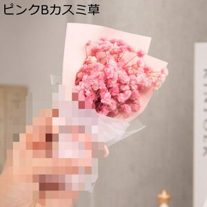 JX~ v[gt[u[P ~j[ tFCNt[  LO hV̓ ̂ ͂Ȃ    Mtg NX}X T}[Mtg ޏւ̑蕨 