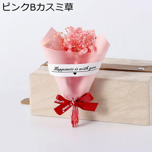 v[gt[u[P ~j[ ԃu[P tFCN  LO hV̓ ̂ ͂Ȃ t[ j  Mtg NX}X T}[Mtg ޏւ̑蕨 