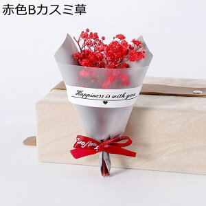 v[gt[u[P ~j[ ԃu[P tFCN  LO hV̓ ̂ ͂Ȃ t[ j  Mtg NX}X T}[Mtg ޏւ̑蕨 