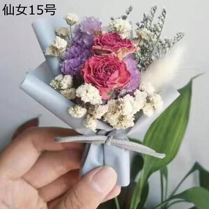 v[gt[u[P o ~j[ ԃu[P tFCN  LO hV̓ jɓKp  zCgf[ \  җj ޏւ̑蕨 j ސE VN Vz