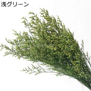 t[u[P v[g ԃu[P tFCN  ͂Ȃ t[  Mtg NX}X T}[Mtg K[th JXj  Be X ??  