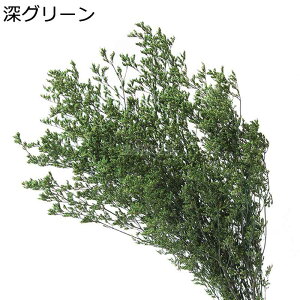 t[u[P v[g ԃu[P tFCN  ͂Ȃ t[  Mtg NX}X T}[Mtg K[th JXj  Be X ??  