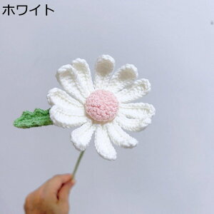 j҂ dais ԃu[P tFCN  ̓ jbgu[P ͂Ȃ jɓKp o^Cf[ v[g Əj Be