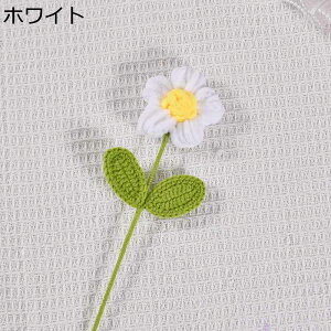 j҂  tFCNt[  j҂݃[Y`[bv̉ ͂Ȃ ԑ o^Cf[ v[g  ސE VN Vzj ƃMtg j OB