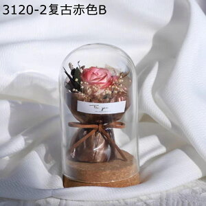 v[gt[u[P ~j[ ԃu[P tFCN KXh[ 搶̓ ͂Ȃ ԑ jɓKp  Mtg NX}X T}[Mtg j JXj w i 