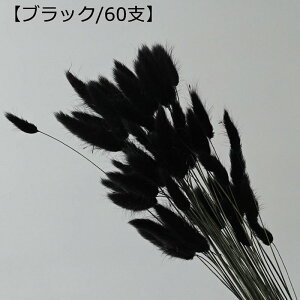 t[u[P 60{ v[g tFCNt[  ͂Ȃ  Mtg NX}X T}[Mtg K[th j ސE VN Vzj Be X ??  