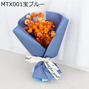 JX~ 5 v[gt[u[P ~j[ tFCNt[  LO j ͂Ȃ  jɓKp  Mtg NX}X T}[Mtg ޏւ̑蕨 j