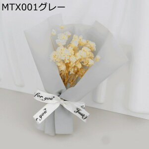 JX~ 5 v[gt[u[P ~j[ tFCNt[  LO j ͂Ȃ  jɓKp  Mtg NX}X T}[Mtg ޏւ̑蕨 j