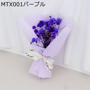 JX~ 5 v[gt[u[P ~j[ tFCNt[  LO j ͂Ȃ  jɓKp  Mtg NX}X T}[Mtg ޏւ̑蕨 j