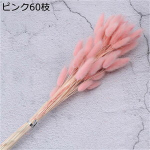 ppXOX  v[gt[u[P tFCNt[ 1   搶̓ ͂Ȃ  o^Cf[ v[g w Əj EBhE{bNX e[