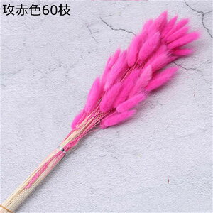 ppXOX  v[gt[u[P tFCNt[ 1   搶̓ ͂Ȃ  o^Cf[ v[g w Əj EBhE{bNX e[