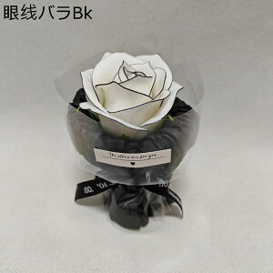 ~j[ 3{ t[u[P v[g ԃu[P tFCN LO hV̓ ̂  ͂Ȃ    ƃMtg Mtg NX}X T}[Mtg K[th