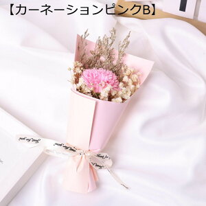 v[gt[u[P ԃu[P tFCN   J[l[V t[ jɓKp  zCgf[ \  җj ޏւ̑蕨 j JXj w