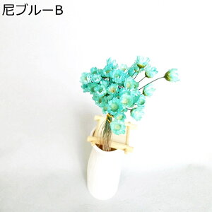 t[u[P v[g tFCNt[  ͂Ȃ  Mtg NX}X T}[Mtg K[th  OB 35-45cm z[fR[V z[|[`