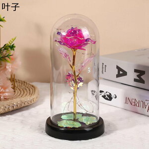 t[u[P NAP[Xt v[g tFCNt[  a 搶̓  ͂Ȃ  jɓKp  Əj zCgf[ \  җj