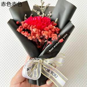 v[gt[u[P q} ~j[ tFCNt[  LO hV̓ ̂ ͂Ȃ    Mtg NX}X T}[Mtg ޏւ̑蕨 