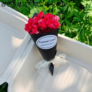 v[gt[u[P 7{ tFCNt[  LO j ~j[ ͂Ȃ t[ j  Mtg NX}X T}[Mtg ޏւ̑蕨 j 蕨 