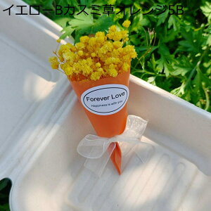 v[gt[u[P 7{ tFCNt[  LO j ~j[ ͂Ȃ t[ j  Mtg NX}X T}[Mtg ޏւ̑蕨 j 蕨 