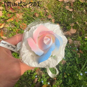 ~j 5{ v[gt[u[P ԃu[P tFCN  LO hV̓ ̂ ͂Ȃ ԑ   Mtg NX}X T}[Mtg ޏւ̑蕨  JXj