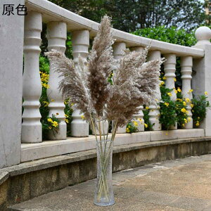 ppXOX t[u[P v[g tFCNt[  ͂Ȃ t[  zCgf[ \ K[th j ސE Be X ??  