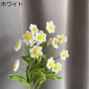 dais j҂ ԃu[P tFCN ̓Mtg 搶̓ jbgt[ i ͂Ȃ zCgf[ ƃMtg AWg CeA