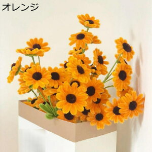 dais j҂ ԃu[P tFCN ̓Mtg 搶̓ jbgt[ i ͂Ȃ zCgf[ ƃMtg AWg CeA