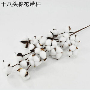 v[gt[u[P ԃu[P tFCN  ǉ LO j ͂Ȃ  jɓKp  zCgf[ \  җj ޏւ̑蕨 j JXj 