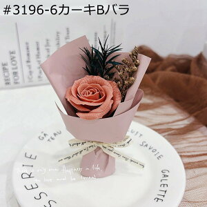 2 v[gt[u[P ?t[ tFCNt[ ~j[ hV̓  zCgf[ \  җj ޏւ̑蕨  蕨  w Ǝ 