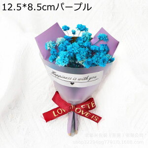 ~j[ 8.5cm 5{ JX~ v[gt[u[P tFCNt[  LO hV̓ ̂ ͂Ȃ t[ j  o^Cf[ v[g ޏ