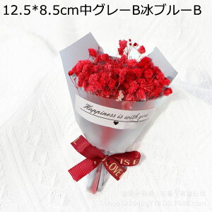 ~j[ 8.5cm 5{ JX~ v[gt[u[P tFCNt[  LO hV̓ ̂ ͂Ȃ t[ j  o^Cf[ v[g ޏ