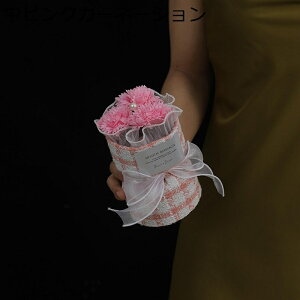 v[gt[u[P o tFCNt[  14cm LO hV̓ ̂ ͂Ȃ  jɓKp  zCgf[ \  Əj Be X ??