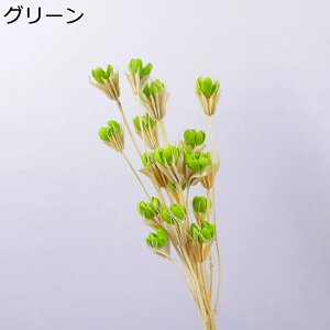  Be t[u[P v[g ԃu[P tFCN  ͂Ȃ  zCgf[ \  җj K[th j 蕨  e[u z[