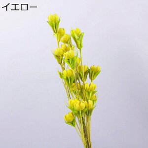  Be t[u[P v[g ԃu[P tFCN  ͂Ȃ  zCgf[ \  җj K[th j 蕨  e[u z[