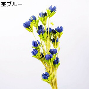  Be t[u[P v[g ԃu[P tFCN  ͂Ȃ  zCgf[ \  җj K[th j 蕨  e[u z[