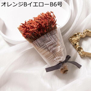 ~j[ ݂ t[u[P v[g tFCNt[ LO j  ͂Ȃ t[ jɓKp  ƃMtg zCgf[ \  җj