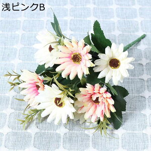 t[u[P v[g ԃu[P tFCN  a 搶̓ ͂Ȃ t[ j  Mtg NX}X T}[Mtg K[th  Ԍ|p 