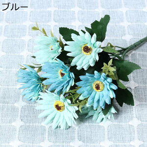 t[u[P v[g ԃu[P tFCN  a 搶̓ ͂Ȃ t[ j  Mtg NX}X T}[Mtg K[th  Ԍ|p 