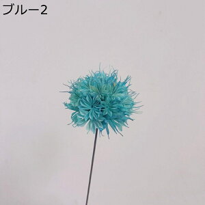 5{  t[u[P v[g tFCNt[  a ͂Ȃ t[   ƃMtg v[g K[th  i  z[|[`