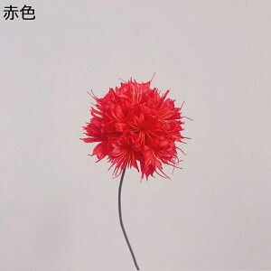 5{  t[u[P v[g tFCNt[  a ͂Ȃ t[   ƃMtg v[g K[th  i  z[|[`