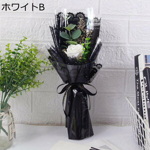 v[gt[u[P o ԃu[P tFCN   a 搶̓ ͂Ȃ t[ jɓKp   JXj w i  Əj OB