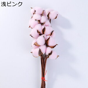 t[u[P v[g ԃu[P tFCN ̓  Be  ͂Ȃ t[ j  Ǝ  o^Cf[ v[g ??  i 