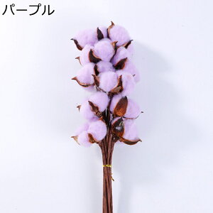 t[u[P v[g ԃu[P tFCN ̓  Be  ͂Ȃ t[ j  Ǝ  o^Cf[ v[g ??  i 