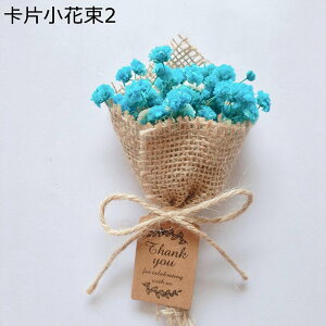 v[gt[u[P 15cm JX~ ԃu[P tFCN  LO j ͂Ȃ t[ jɓKp  o^Cf[ v[g ޏւ̑蕨  