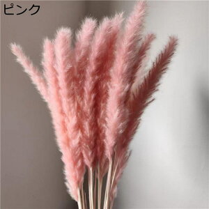 10{ ppXOX t[u[P v[g tFCNt[  搶̓ ͂Ȃ jɓKp  Ǝ zCgf[ \  K[th w OB 