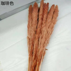 10{ ppXOX t[u[P v[g tFCNt[  搶̓ ͂Ȃ jɓKp  Ǝ zCgf[ \  K[th w OB 