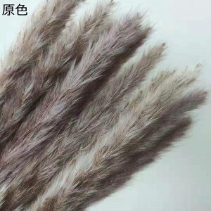 10{ ppXOX t[u[P v[g tFCNt[  搶̓ ͂Ȃ jɓKp  Ǝ zCgf[ \  K[th w OB 