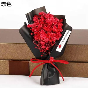 JX~ t[u[P v[g tFCNt[ ~j[ ̓Mtg ̓  ͂Ȃ ԑ jɓKp  Əj o^Cf[ v[g K[th