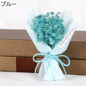 JX~ t[u[P v[g tFCNt[ ~j[ ̓Mtg ̓  ͂Ȃ ԑ jɓKp  Əj o^Cf[ v[g K[th