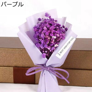 JX~ t[u[P v[g tFCNt[ ~j[ ̓Mtg ̓  ͂Ȃ ԑ jɓKp  Əj o^Cf[ v[g K[th