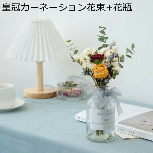 J[l[V v[gt[u[P tFCNt[   a 搶̓ ͂Ȃ ԑ jɓKp  ޏւ̑蕨 j ސE VN Vzj Ǝ 